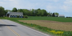 Farm in Exeter on Avenue Rd Ext (2014)