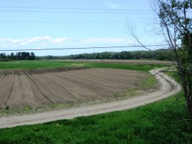 Cropland near the Piscataquis River in Sebec (2014)