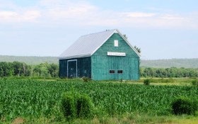 Barn in Corn Field and . . .