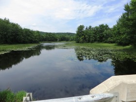 Trues Pond from the Trues Pond Road (2014)