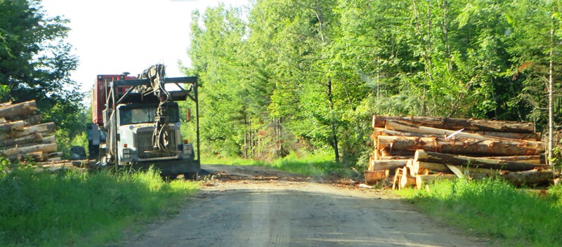 Logging Truck on 07-00-0, a dirt road in Silver Ridge off the 6000 Road (2014)