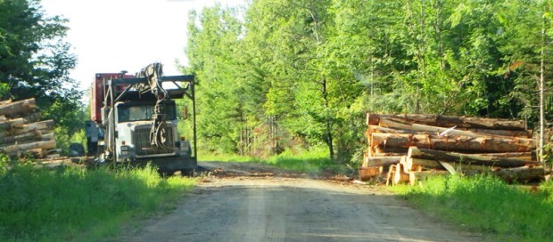 Logging Truck on 07-00-0 Road
