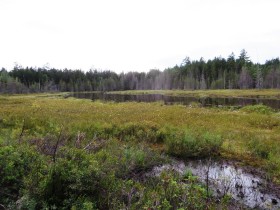 Unnamed "Moose View" Pond (2014)