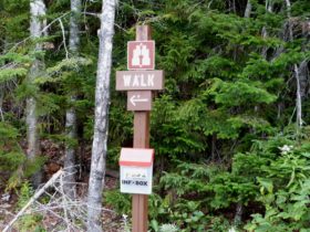 Directions to Moose Pond (2014)