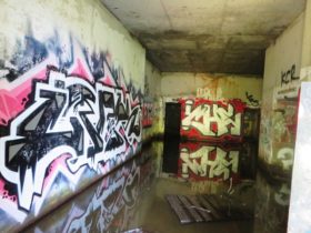 Graffiti in Battery Steele (2014)