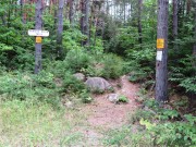 Signs at the entrance to the Seboeis River Trail (2014)