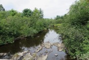 Swift Brook Upstream August (2014)
