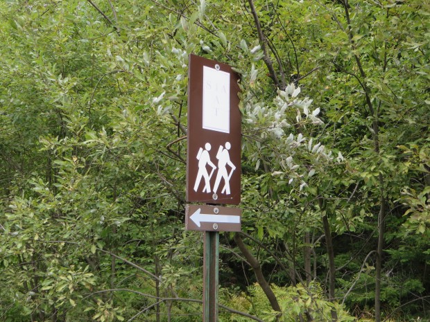 Directional sign for the IAT (2014)
