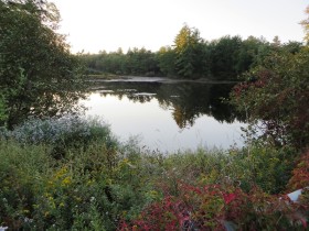 Pond on Swan Pond Brook (2014)