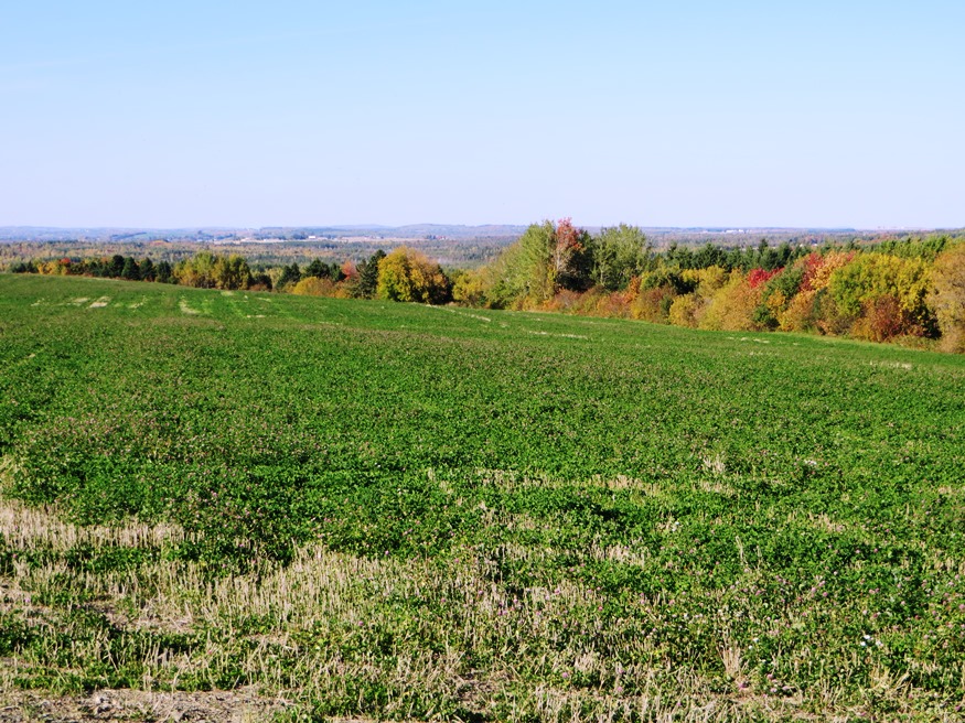 Autumn Fields and Hills in Mapleton from Route 163 (2014)