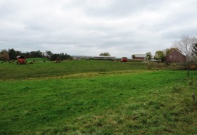 Dairy Farm on the West River Road (2012)