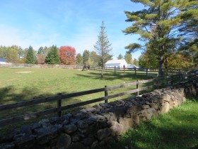 Horse Farm on the South Road (2014)