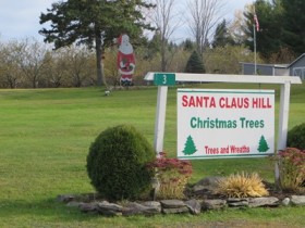 Christmas Tree Farm in Reed Plantation on U.S. Route 2A (2014)