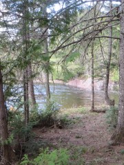 Campsite on the right bank of Mooseleuk Stream at Boars Head Falls (2015)