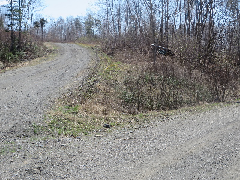 Chase Brook Road (left) off the Jack Mountain Road in T10 R9 WELS (2015)