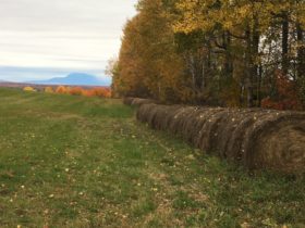 Katahdin Range and Hay Bales at the end of the Scudder Road in Sherman (2016)