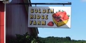 sign: Golden Ridge Farm (2017)