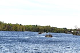 Piers in Kennebec River from the River Road in Anson (2018)