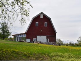 Classic Barn on Route 11 (2018)