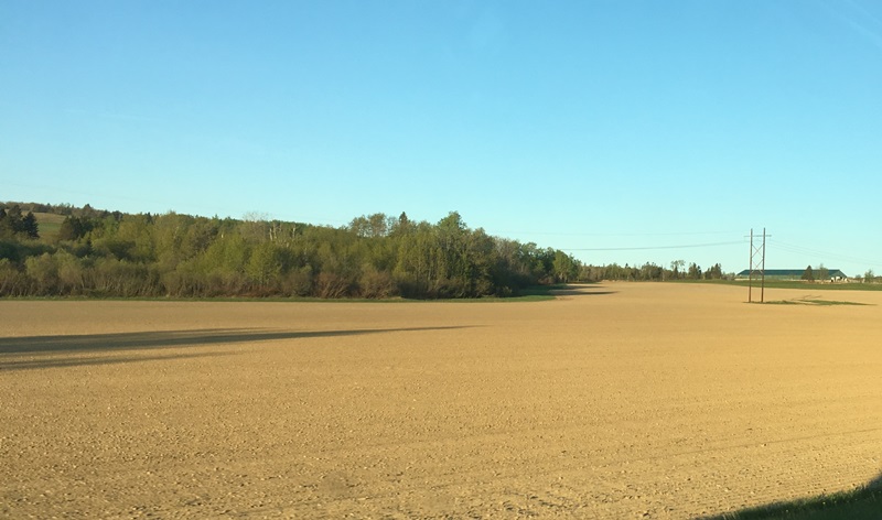 Power Lines and Cropland off the Caribou Road in New Canada (2018)