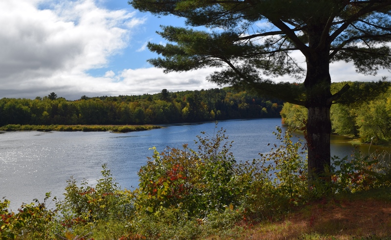 Kennebec River (2018) downstream from The Pines in Old Point in Norridgewock near the British massacre of the Indian village in 1724.