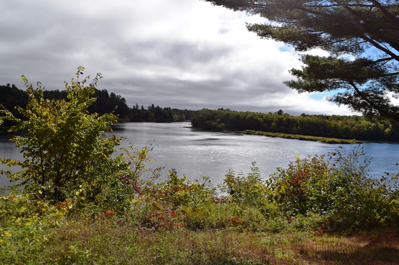 Kennebec River downstream from The Pines in Old Point near the British massacre of the Indian village (2018)