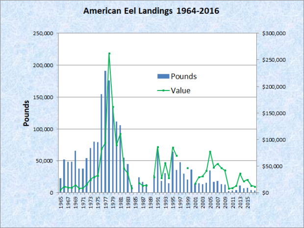American Eel Landings 1964-2016