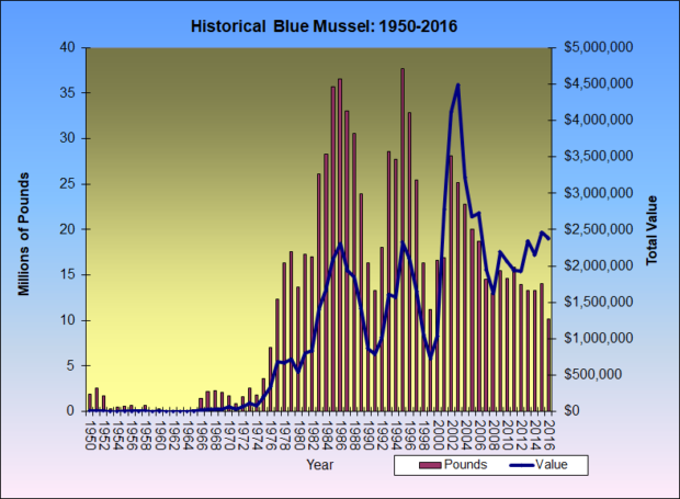 Blue Mussels Historical Landings 1950-2016
