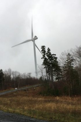 One of several wind turbines in Brighton (2019)