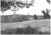 Pendle Hill Lake View (1983)