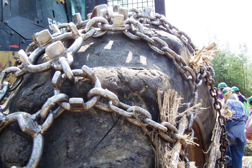 Skidder with baloon tires and chains at logging operation on Plum Creek land in Bowerbank (2010)
