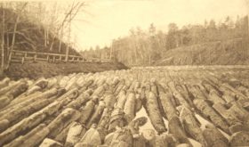 Logs in de Penobscot Rivier (c. 1905)