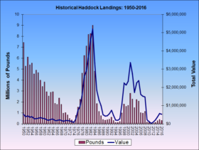 Haddock Landings 1950-2016