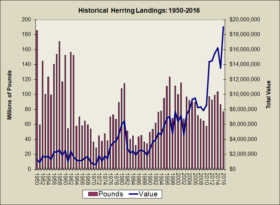 Herring Landings 1950-2016