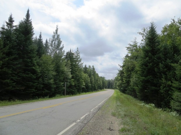 9 Mile Woods Road South of Silver Ridge (2012)