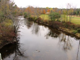 Hutchinson Brook (2013)