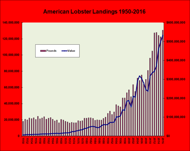 Lobster Landings 1950-2016