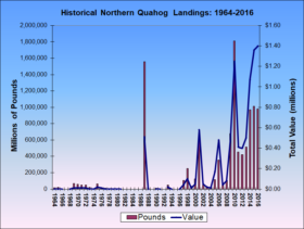 Northern Quahog Landings 1964-2016