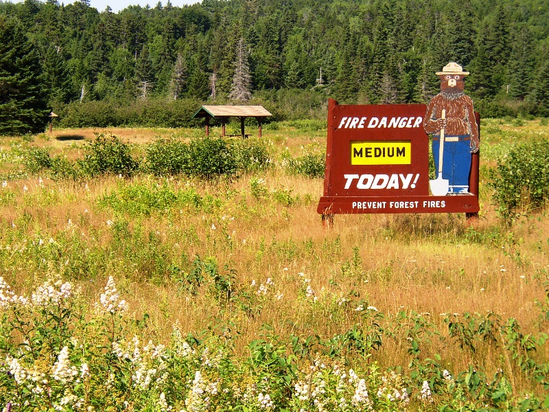 sign: "Fire Danger, Medium, Today!, Prevent Forest Fires" in Nesowadnehunk Field (2005)