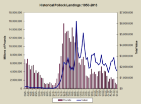 Pollock Landings 1950-2016