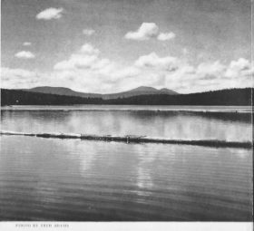 Pond in the River (c. 1940)