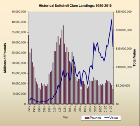 Softshell Clam Landings 1950-2016