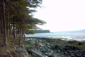 Warren Island Coastal View