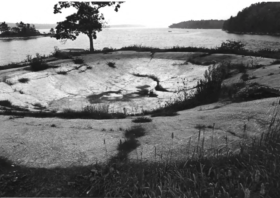 Lilly Dolphin Pool (1981)