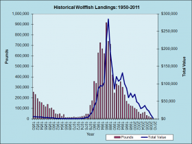 Wolffish Landings 1950-2011