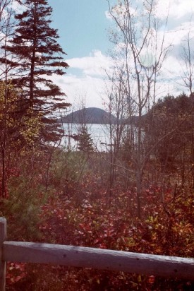 Roadside Scene in Acadia National Park (2001)