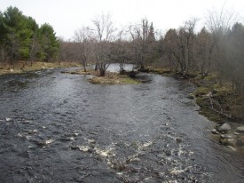 The Dead Stream Looking Downstream (2005)