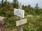 Mahoosuc Trail ATC Signs (2003)