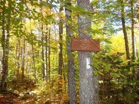 sign: Bald Mt. Brook Lean-to