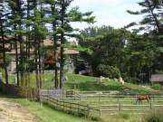 Grounds at the William King Homestead